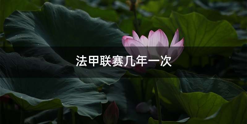 法甲联赛几年一次