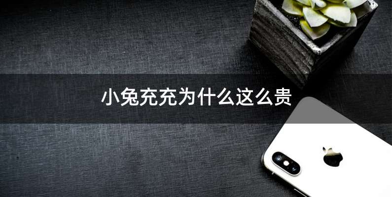 小兔充充为什么这么贵