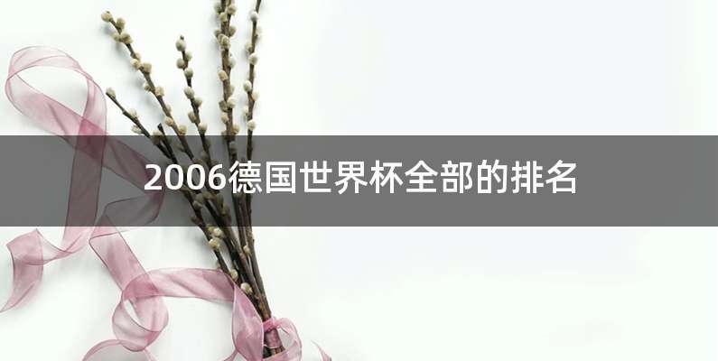 2006德国世界杯全部的排名