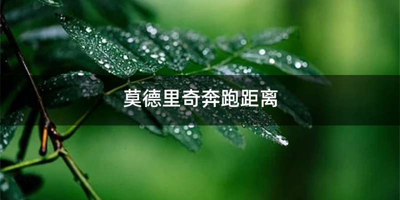 莫德里奇奔跑距离