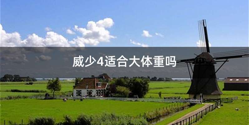 威少4适合大体重吗