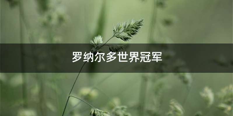 罗纳尔多世界冠军
