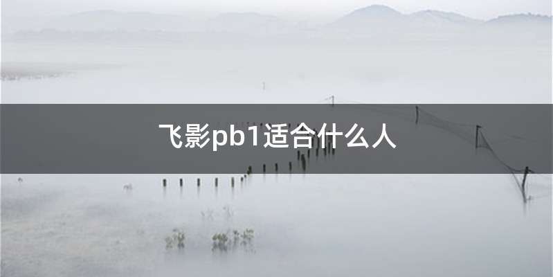 飞影pb1适合什么人
