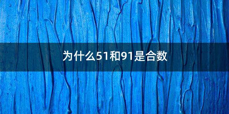 为什么51和91是合数