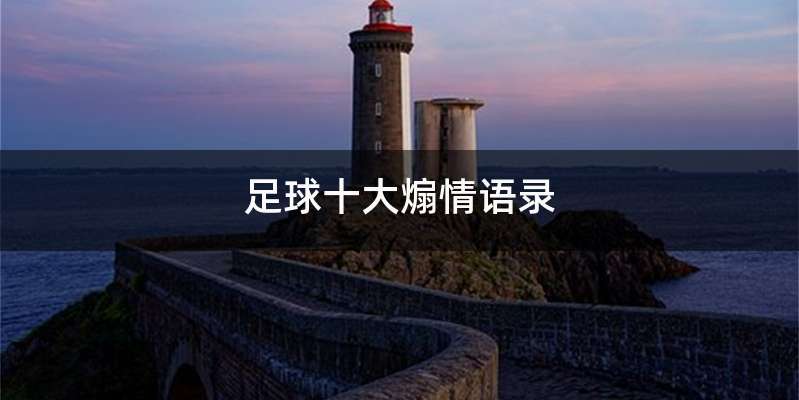 足球十大煽情语录