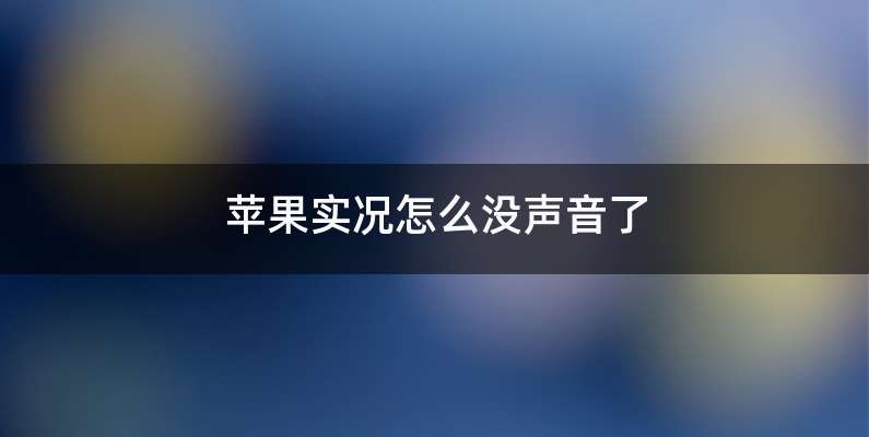苹果实况怎么没声音了