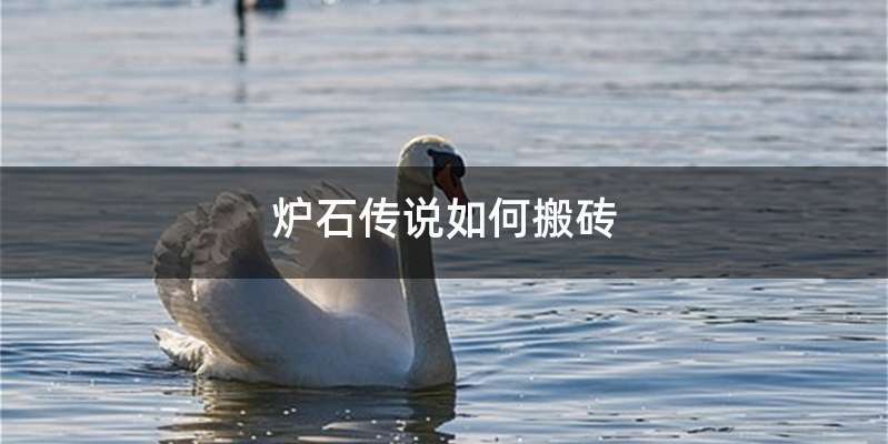 炉石传说如何搬砖