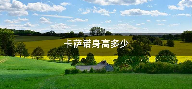 卡萨诺身高多少