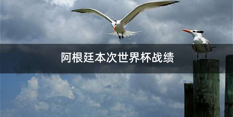 阿根廷本次世界杯战绩