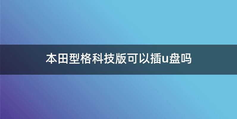 本田型格科技版可以插u盘吗