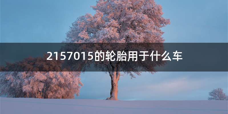 2157015的轮胎用于什么车