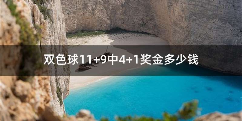 双色球11+9中4+1奖金多少钱