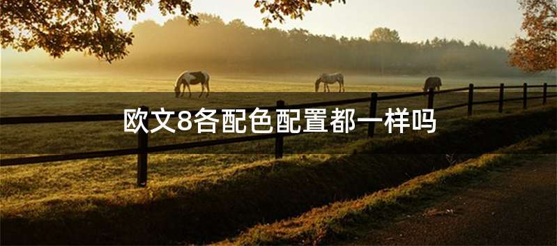 欧文8各配色配置都一样吗