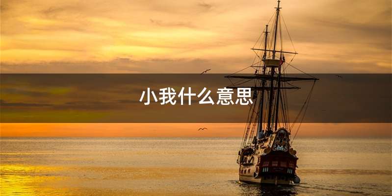 小我什么意思