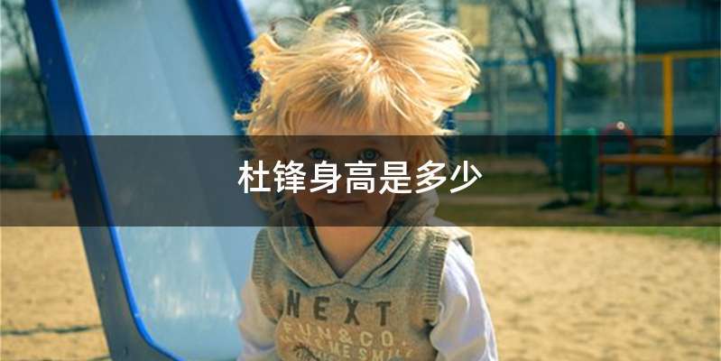 杜锋身高是多少