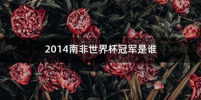 2014南非世界杯冠军是谁