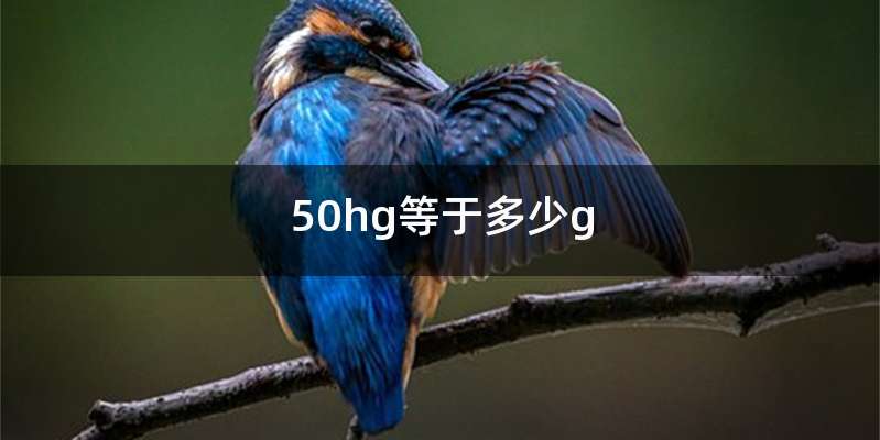 50hg等于多少g