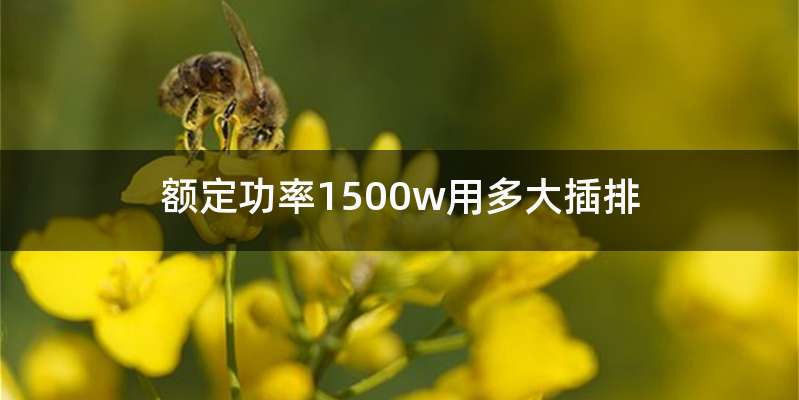 额定功率1500w用多大插排