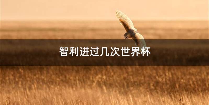 智利进过几次世界杯