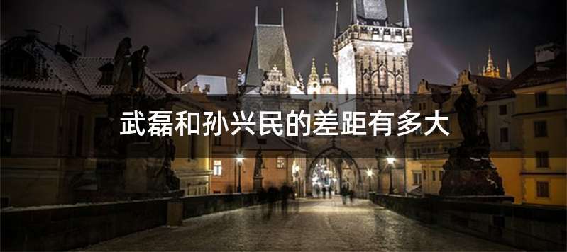 武磊和孙兴民的差距有多大