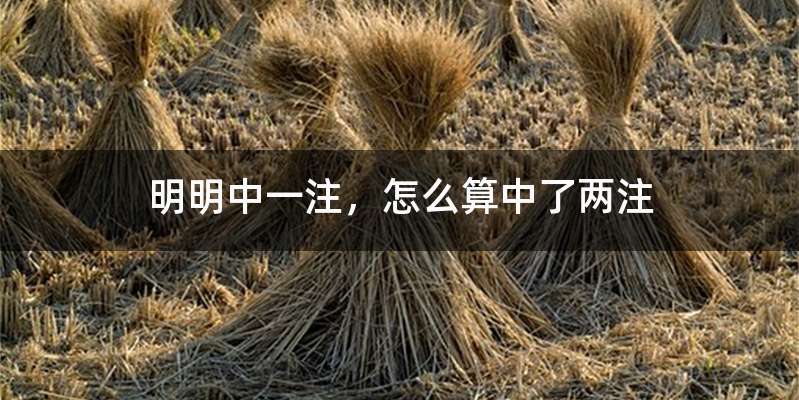 明明中一注，怎么算中了两注