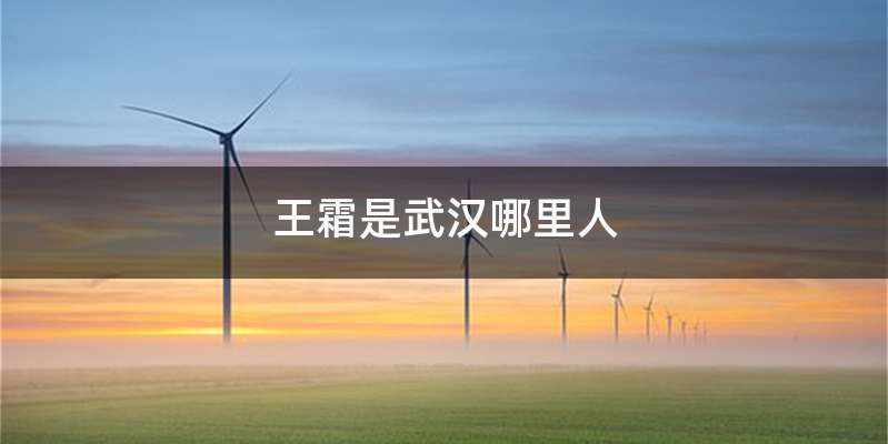 王霜是武汉哪里人