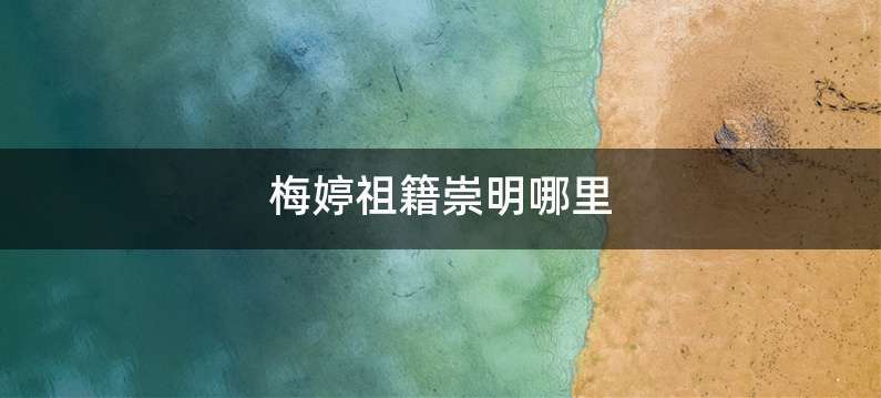 梅婷祖籍崇明哪里