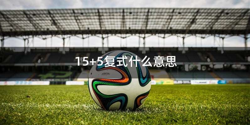 15+5复式什么意思