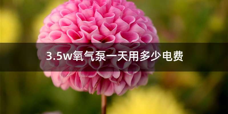 3.5w氧气泵一天用多少电费