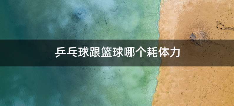 乒乓球跟篮球哪个耗体力