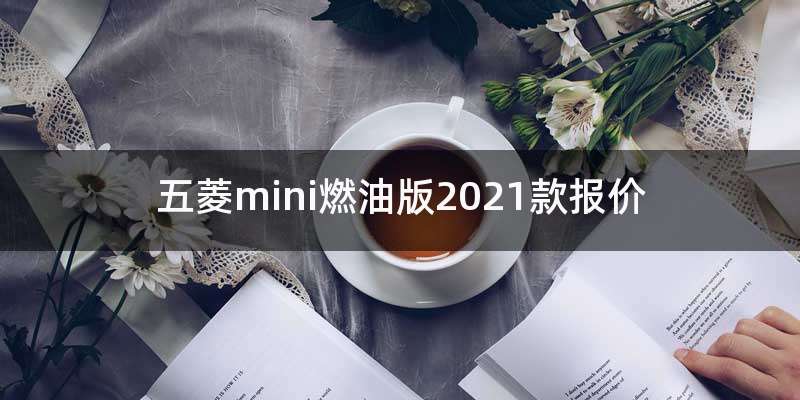 五菱mini燃油版2021款报价