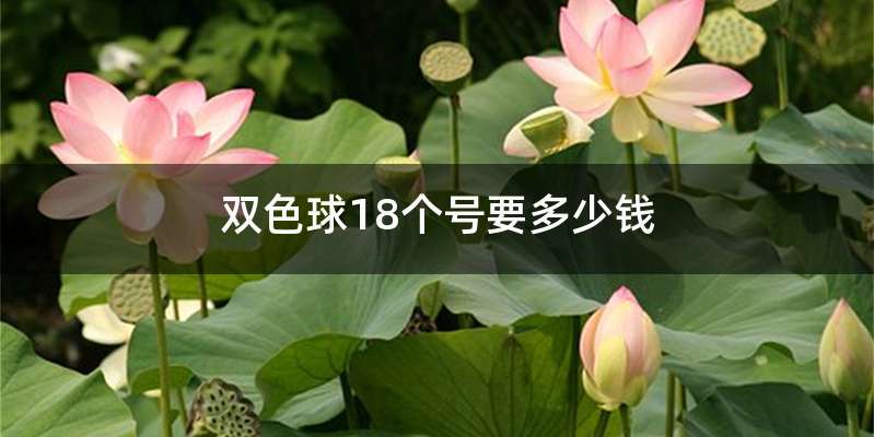 双色球18个号要多少钱