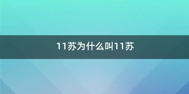 11苏为什么叫11苏