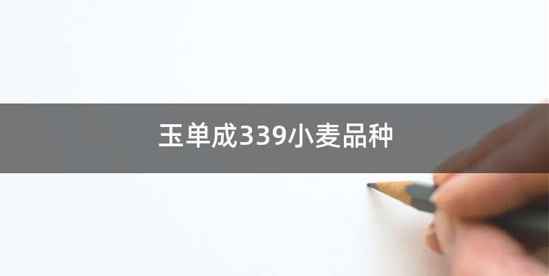 玉单成339小麦品种