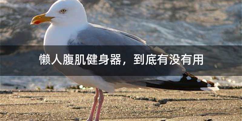 懒人腹肌健身器,到底有没有用