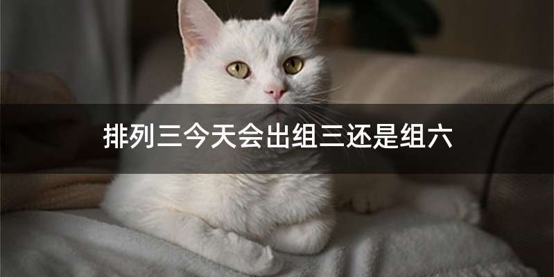 排列三今天会出组三还是组六