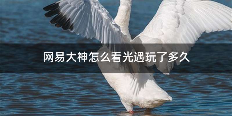 网易大神怎么看光遇玩了多久