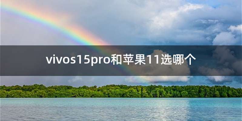 vivos15pro和苹果11选哪个