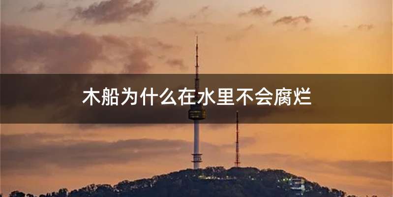 木船为什么在水里不会腐烂