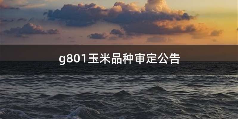 g801玉米品种审定公告