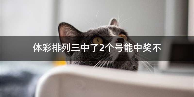 体彩排列三中了2个号能中奖不
