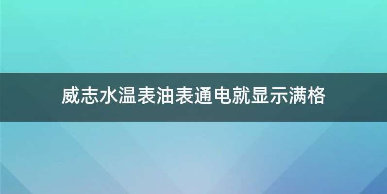 威志水温表油表通电就显示满格