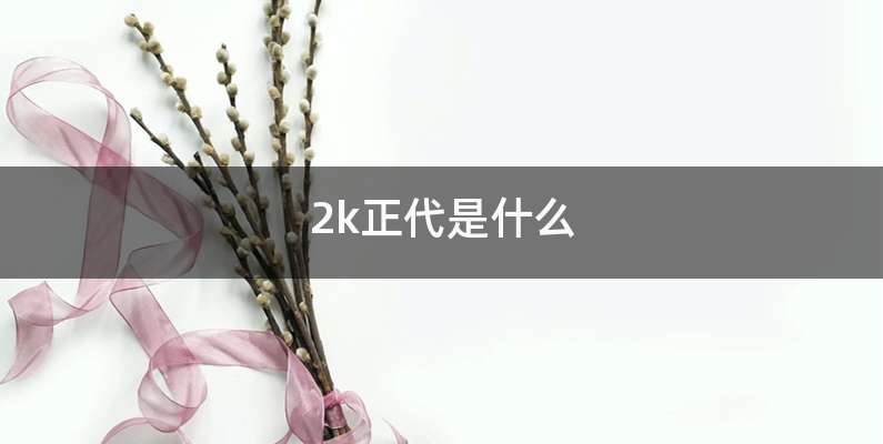 2k正代是什么