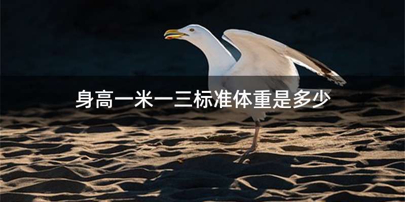 身高一米一三标准体重是多少