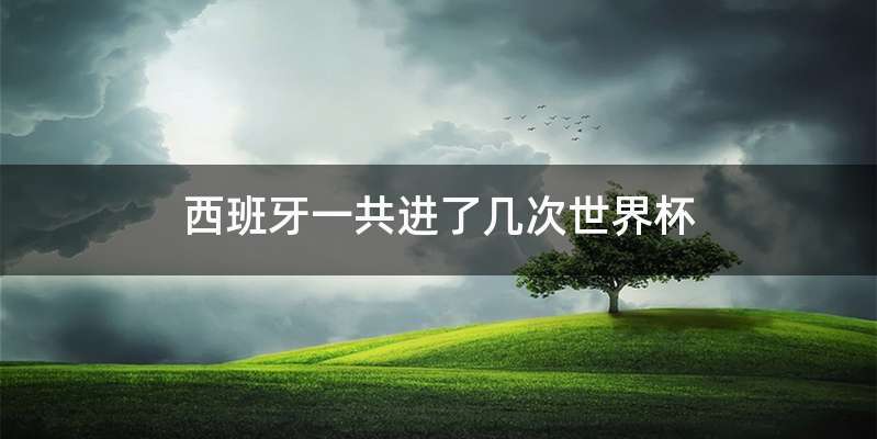 西班牙一共进了几次世界杯