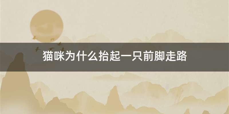 猫咪为什么抬起一只前脚走路