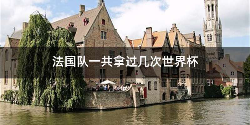 法国队一共拿过几次世界杯