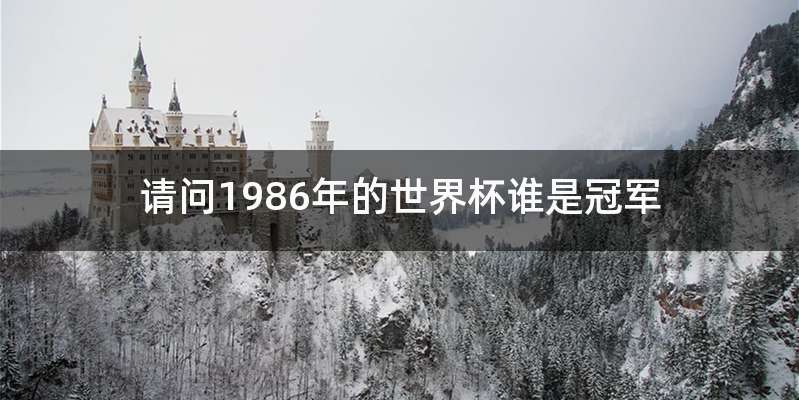 请问1986年的世界杯谁是冠军
