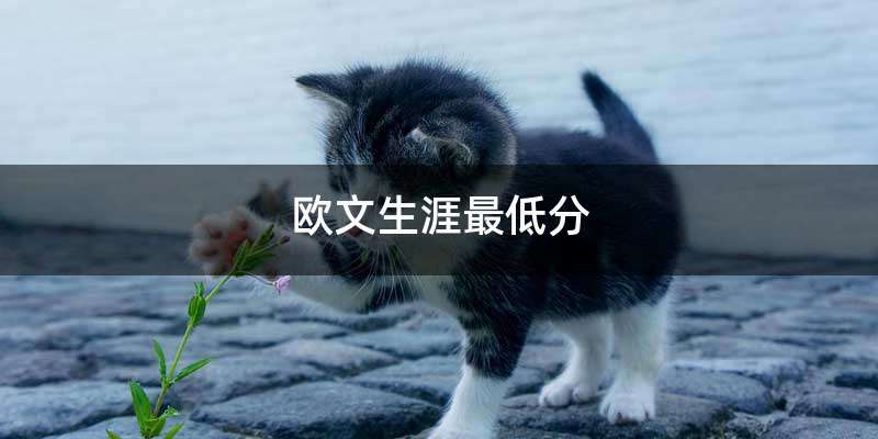 欧文生涯最低分