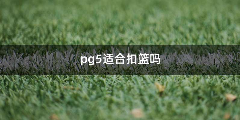 pg5适合扣篮吗